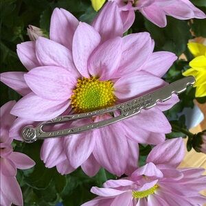 Lilla Rose XS Flexi Clip Replacement Pin Silver Metal Hair Slide Part (Pin Only)